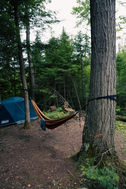 Couple hammock camping in forest with tent
